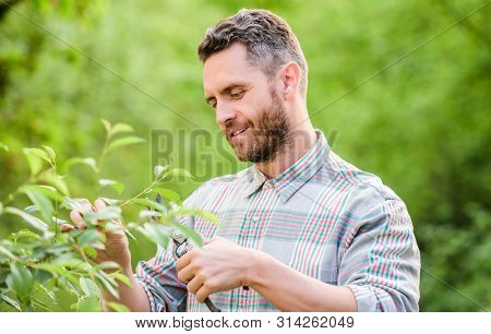 Sexy Farmer Cut Flowers With Pliers. Muscular Ranch Man Care Plants. Farming And Agriculture Cultiva