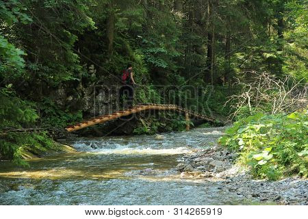 A Tourist In The Beautiful Gorges Of The Slovak Paradise National Park
