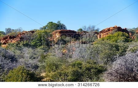 The Wonderful  Waterberg Plateau In Namibia Rises Two Hundred Meters From The Surrounding Plains.