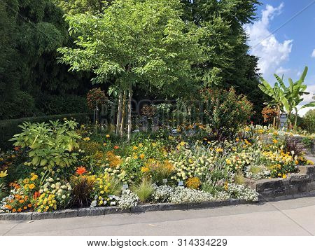 Sonja And Lennart Bernadotte Plaza Or Sonja Und Lennart Bernadotte Platz (flower Island Mainau On Th