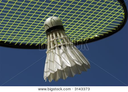 Badminton Sport