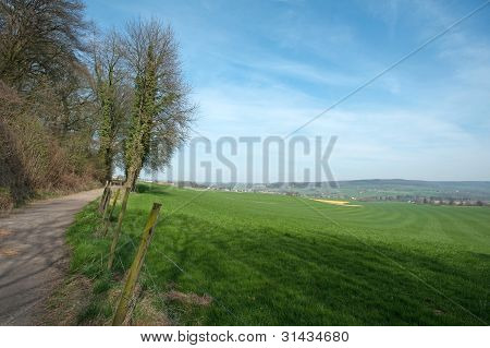 unbefestigte StraÃŸe durch Wald und Wiese
