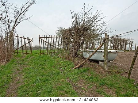 Badewanne in einem Feld im FrÃ¼hjahr