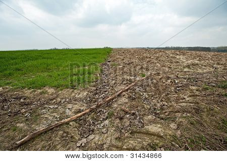 Landwirtschaft unter einem bewÃ¶lkten Himmel