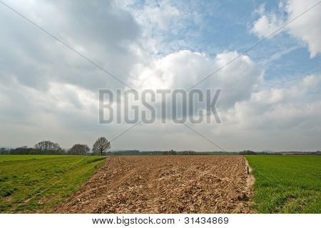 Landwirtschaft unter einem bewölkten Himmel
