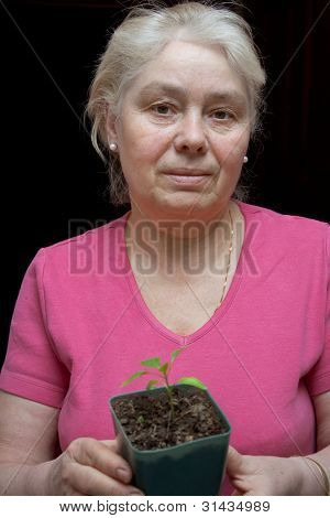 Femme tenant un Pot avec des semis