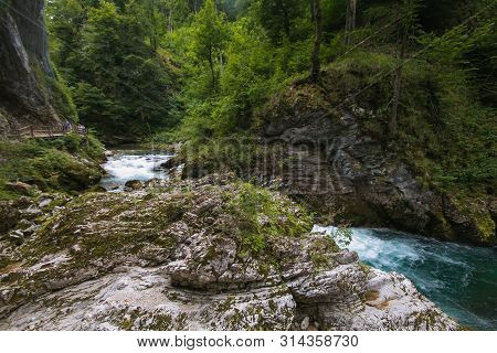 View Of Radovna River At Vintgar Gorge Canyon. Slovenia