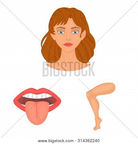Isolated Object Of Body And Part Icon. Collection Of Body And Anatomy Stock Vector Illustration.