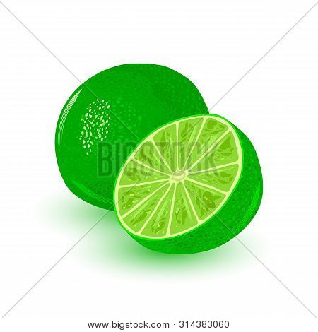 Fresh And Juicy Lime. Ripe Citrus Round Green Fruit. Ingredient With Sour Flavour Using For Vegan, V