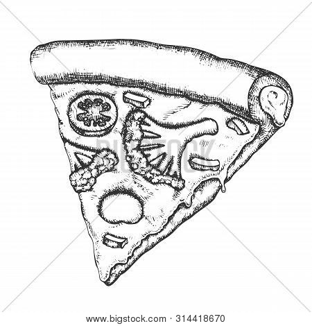 Vegetarian Italian Slice Pizza Monochrome . Cooked Slice Cheese Pizza With Ingredients Rapini And Pa