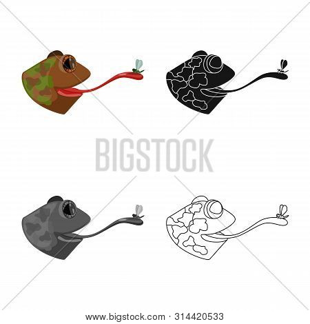 Vector Design Of Toad And Head Symbol. Collection Of Toad And Stickyl Stock Vector Illustration.