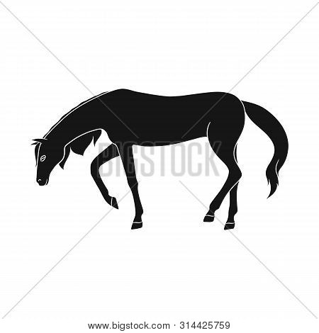 Vector Design Of Running And Horse Logo. Collection Of Running And Hoofed Stock Vector Illustration.