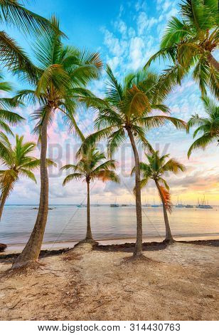 Sunset over Anse Champagne beach in Saint Francois, Guadeloupe, Caribbean
