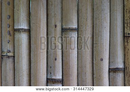 Texture Of Old Wood Japanese Art Of Outsite Temple Wall.