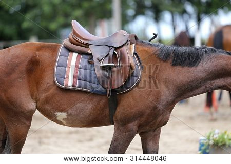 Beautiful Handmade Dressage Horse Riding Saddle With Girth, Stirrup On Saddle Pad On The Racetrack