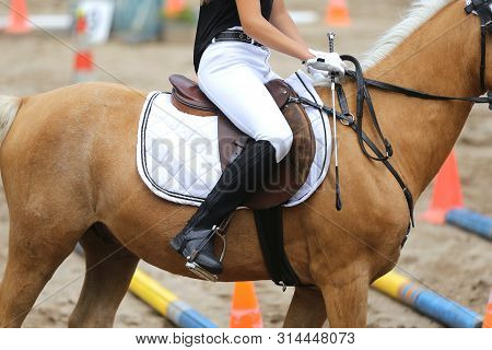 Beautiful Handmade Dressage Horse Riding Saddle With Girth, Stirrup On Saddle Pad On The Racetrack