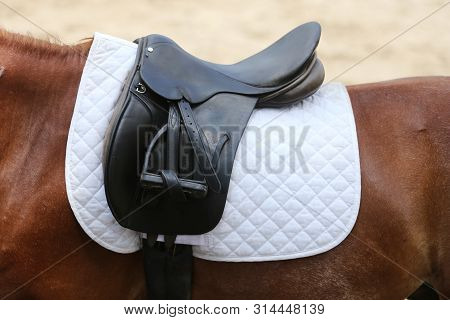 Beautiful Handmade Dressage Horse Riding Saddle With Girth, Stirrup On Saddle Pad On The Racetrack