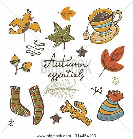 Autumn Essentials Stylsh Colorful Collection. Autumn Related Design Elements Set