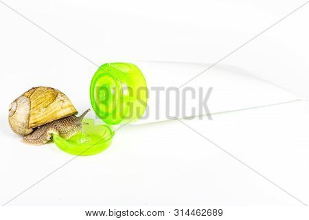 Cosmetics Organic Made With Slaver Of Snail, Very Good For Skin And Health And Fashion In Europe. Gr
