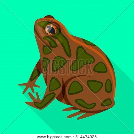 Isolated Object Of Toad And Biology Logo. Set Of Toad And Tropical Stock Bitmap Illustration.