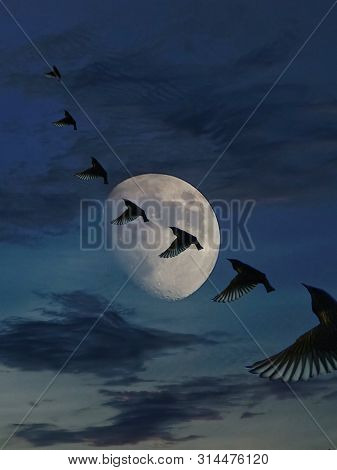 Meditation In The Clouds With The Moonlight