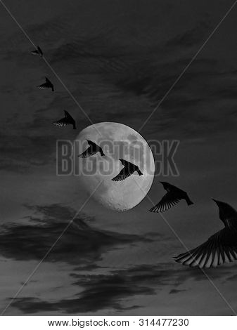 Meditation In The Clouds With The Moonlight