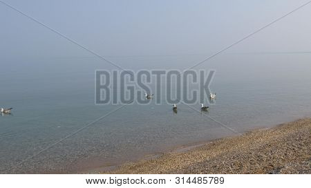 The Beautiful Coast On The Black Sea.the Miracle Of Creation.