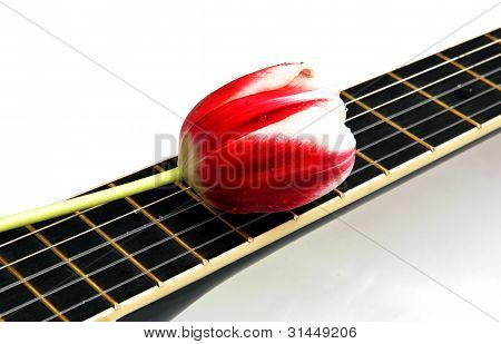 Ballad of love