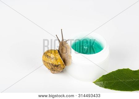 Cosmetics Organic Made With Slaver Of Snail, Very Good For Skin And Health And Fashion In Europe. Po