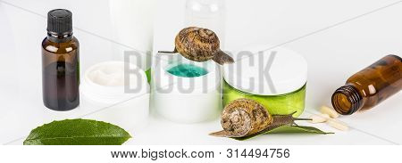 Cosmetics Organic Made With Slaver Of Snail, Very Good For Skin And Health And Fashion In Europe. Po