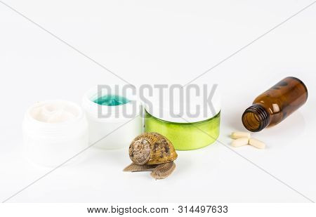 Cosmetics Organic Made With Slaver Of Snail, Very Good For Skin And Health And Fashion In Europe. Po