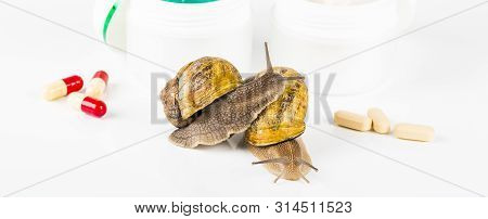 Cosmetics Organic Made With Slaver Of Snail, Very Good For Skin And Health And Fashion In Europe. Po