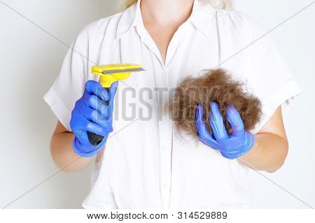 A Lot Of Dog Wool, Spring Pet Moulting Concept. Isolated On White.