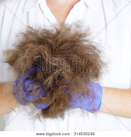 A Lot Of Dog Wool, Spring Pet Moulting Concept. Isolated On White.