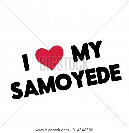 I Love My Samoyede , Illustration On White Background
