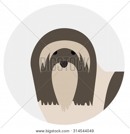 Lhasa Apso , Illustration On White Background Flat Style