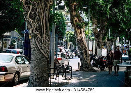 Tel Aviv Israel July 29, 2019 View Of Unknowns Israeli People Walking On Dizengoff Street At Tel Avi