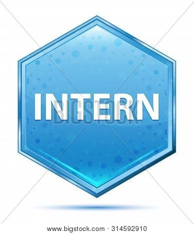 Intern Isolated On Crystal Blue Hexagon Button
