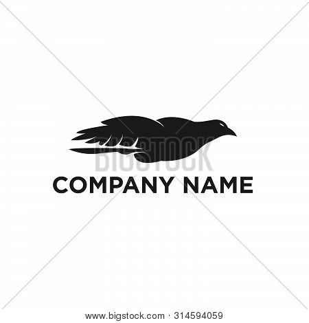 The Flying Eagle. Vector Emblem.
Eagle Icon, Eagle Design Vector, Eagle Icon Picture, Eagle Icon Vec