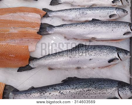 Fresh Wild Caught King Salmon On Ice In A Local Sea Food Market.