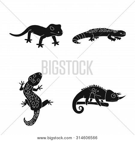 Vector Illustration Of Zoo And Environment Logo. Collection Of Zoo And Reptile Stock Vector Illustra