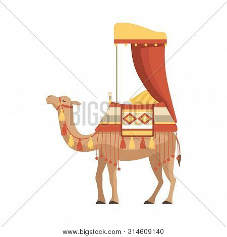 Camel Desert Animal With Bridle And Saddle Decorated With Ethnic Ornament Vector Illustration
