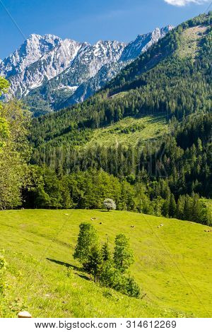 National Park Kalkalpen in Austria