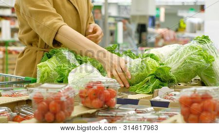 Lady In Brown Coat Chooses Green Fresh Lettuce Closeup