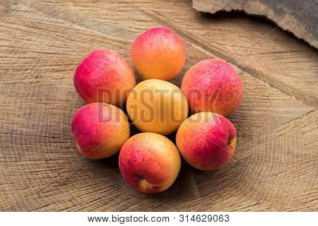 Small Orange Fruits Apricots Assembled In The Form Of Flower