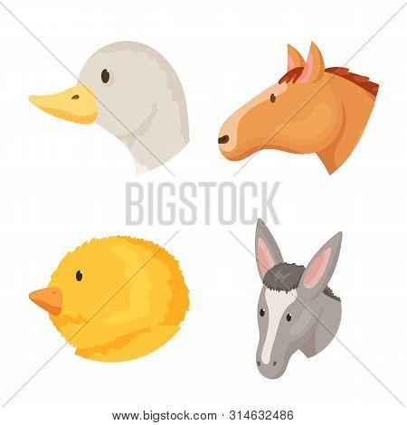 Vector Illustration Of Farm And Head Symbol. Set Of Farm And Homemade Vector Icon For Stock.