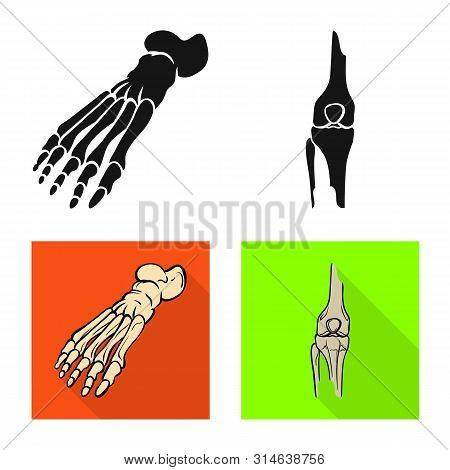 Vector Design Of Medicine And Clinic Icon. Set Of Medicine And Medical Vector Icon For Stock.