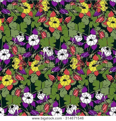 Seamless Aquilegia Pattern. Violet, Red Yellow Flowers Green Leaves Hand Drawn Isolated Flat Design 