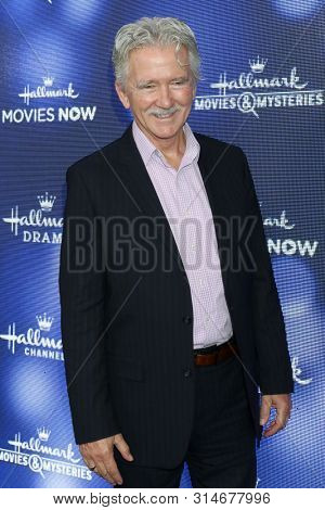 LOS ANGELES - JUL 26:  Patrick Duffy at the Hallmark Summer 2019 TCA Party at the Private Residence on July 26, 2019 in Beverly Hills, CA