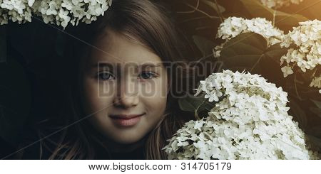 Cute Little Girl In Blooming Hydrangeas. Person And Flowers On Natural Background With Sushine. Chil
